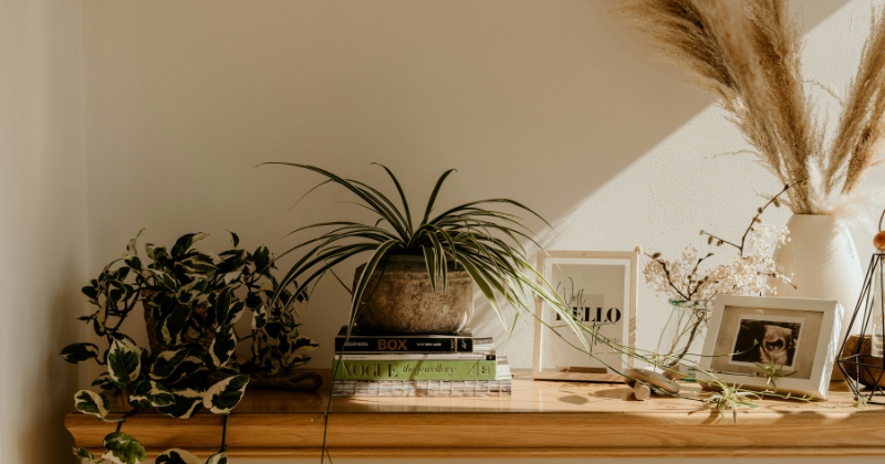 the Perfect Reading Nook