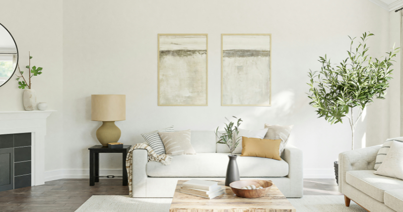 choosing the sofa color